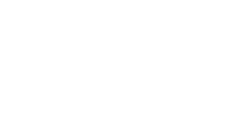 Fleetwood Max Band Logo
